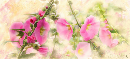 1758009 (a): :5000x2276